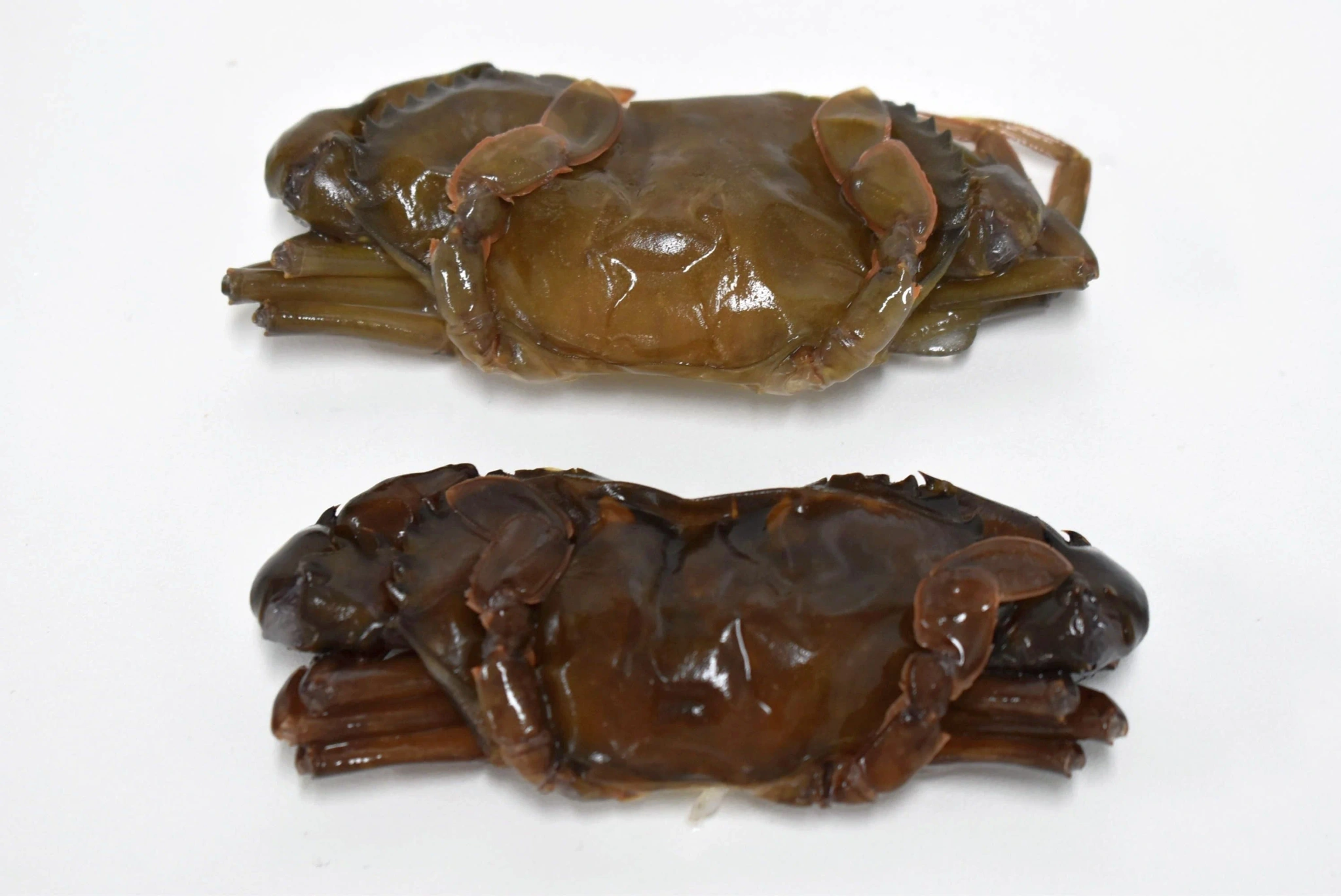Nordic Mangrovekrabba, (soft shell), hel