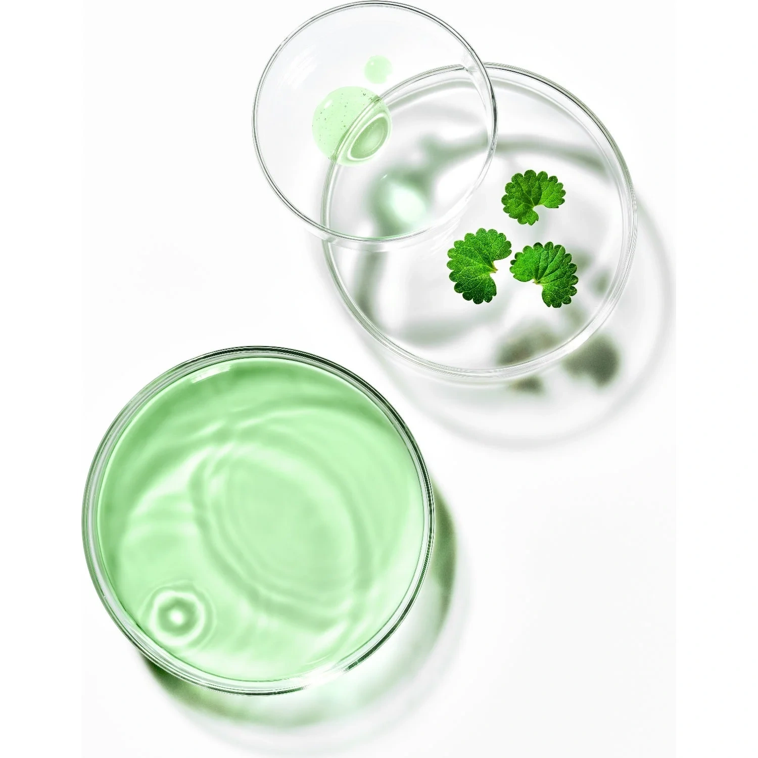 Anua AZELAIC ACID 3 CICA SKIN CLARIFYING TONER