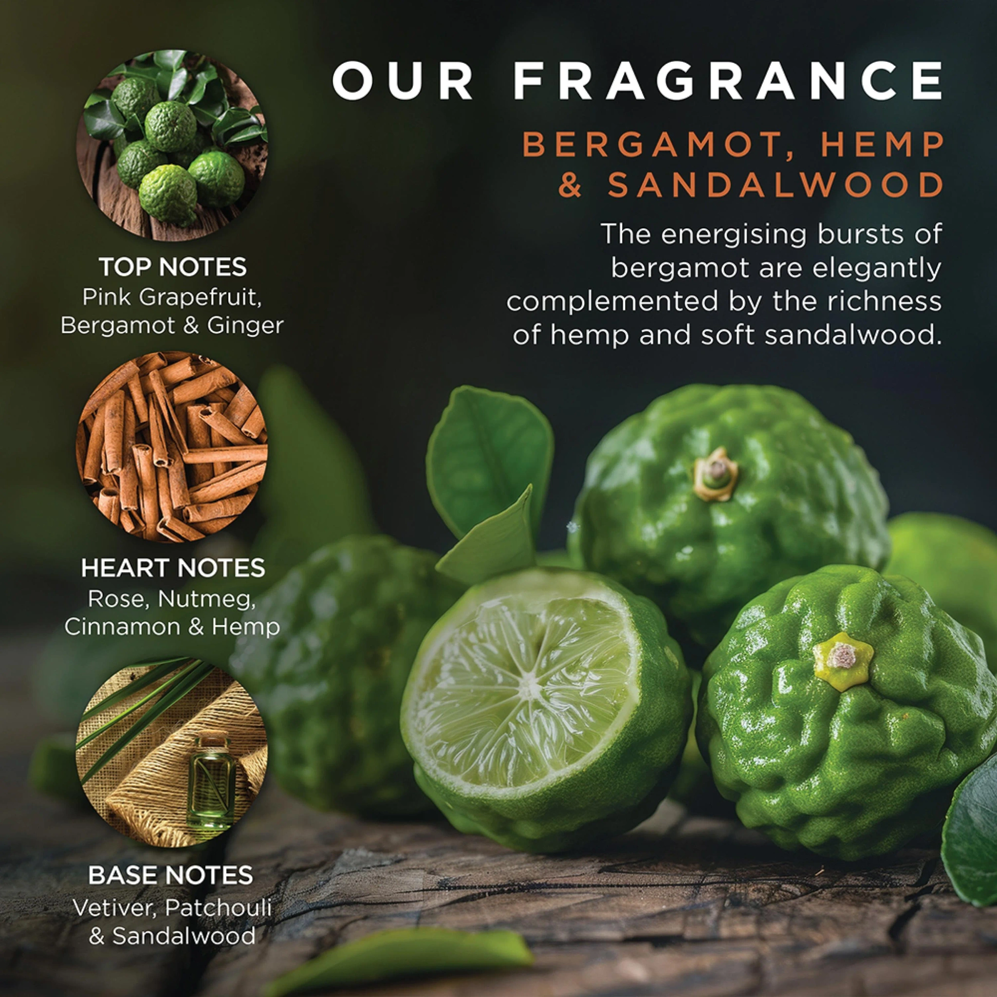 Baylis & Harding The Fuzzy Duck Bergamot, Hemp & Sandalwood Men's Refreshing Essentials Gift Set, 1 sett