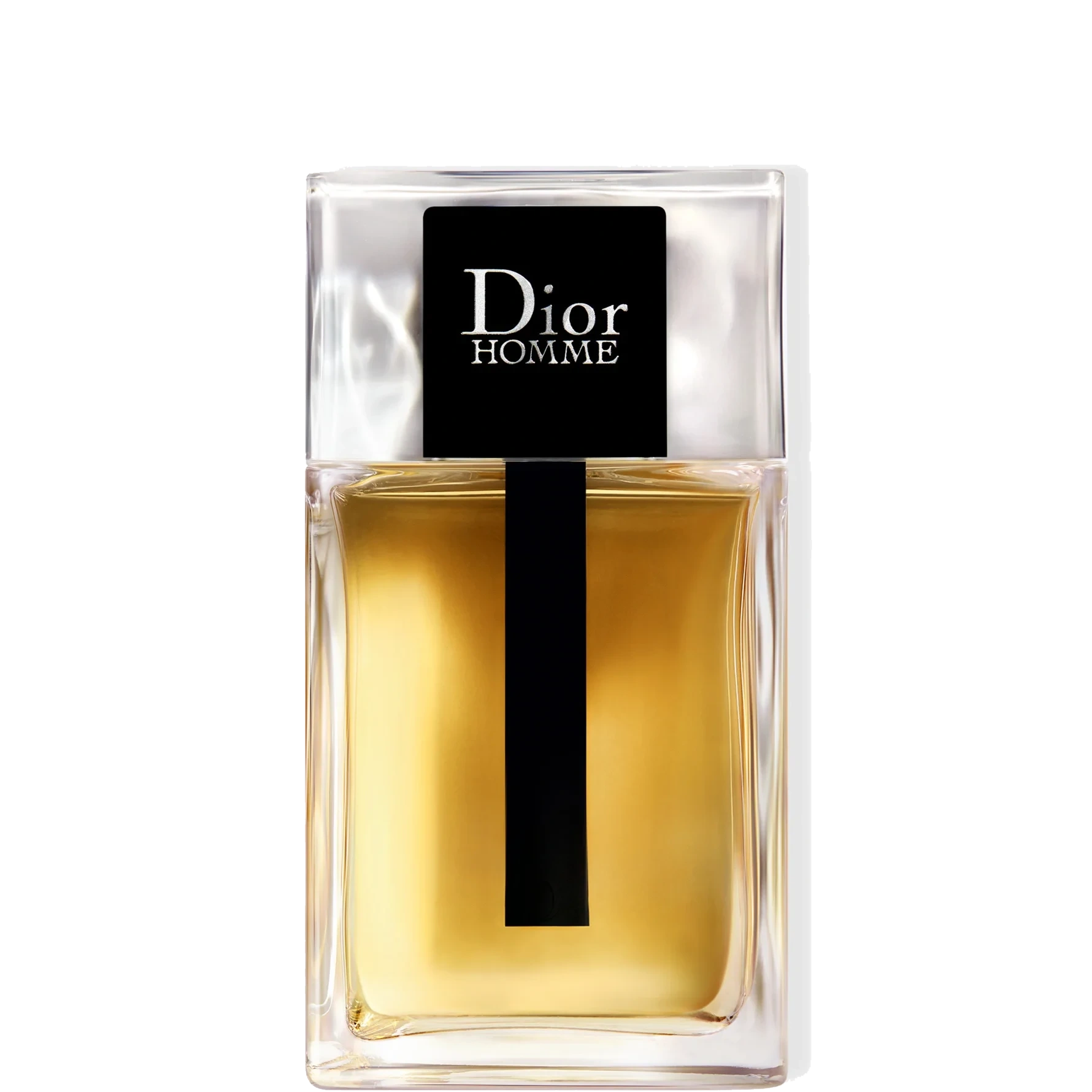 Dior Homme Eau de Toilette 100 ml