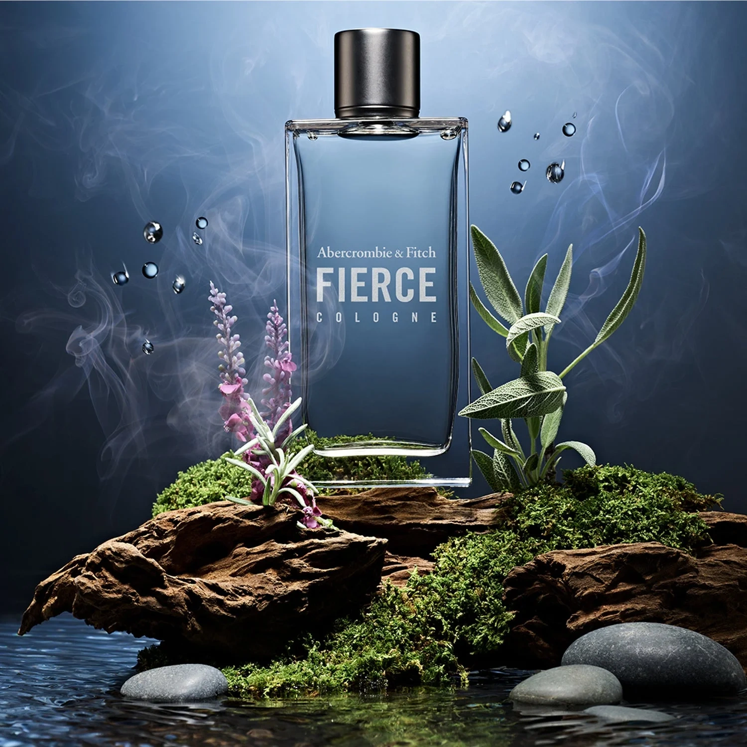Abercrombie & Fitch Fierce