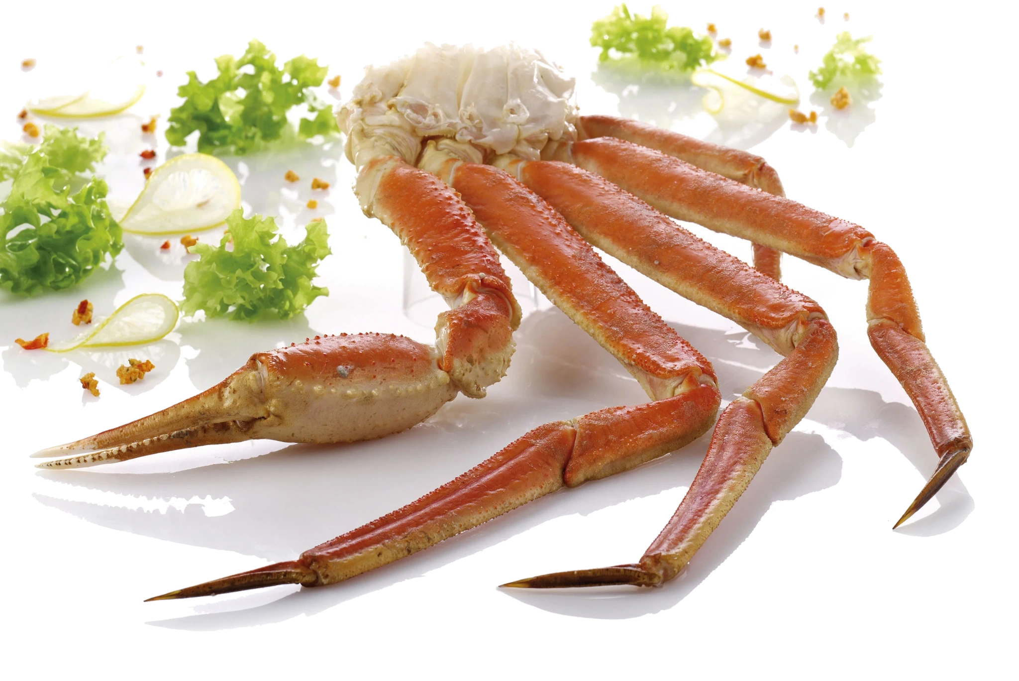 Snow crab (sektioner)