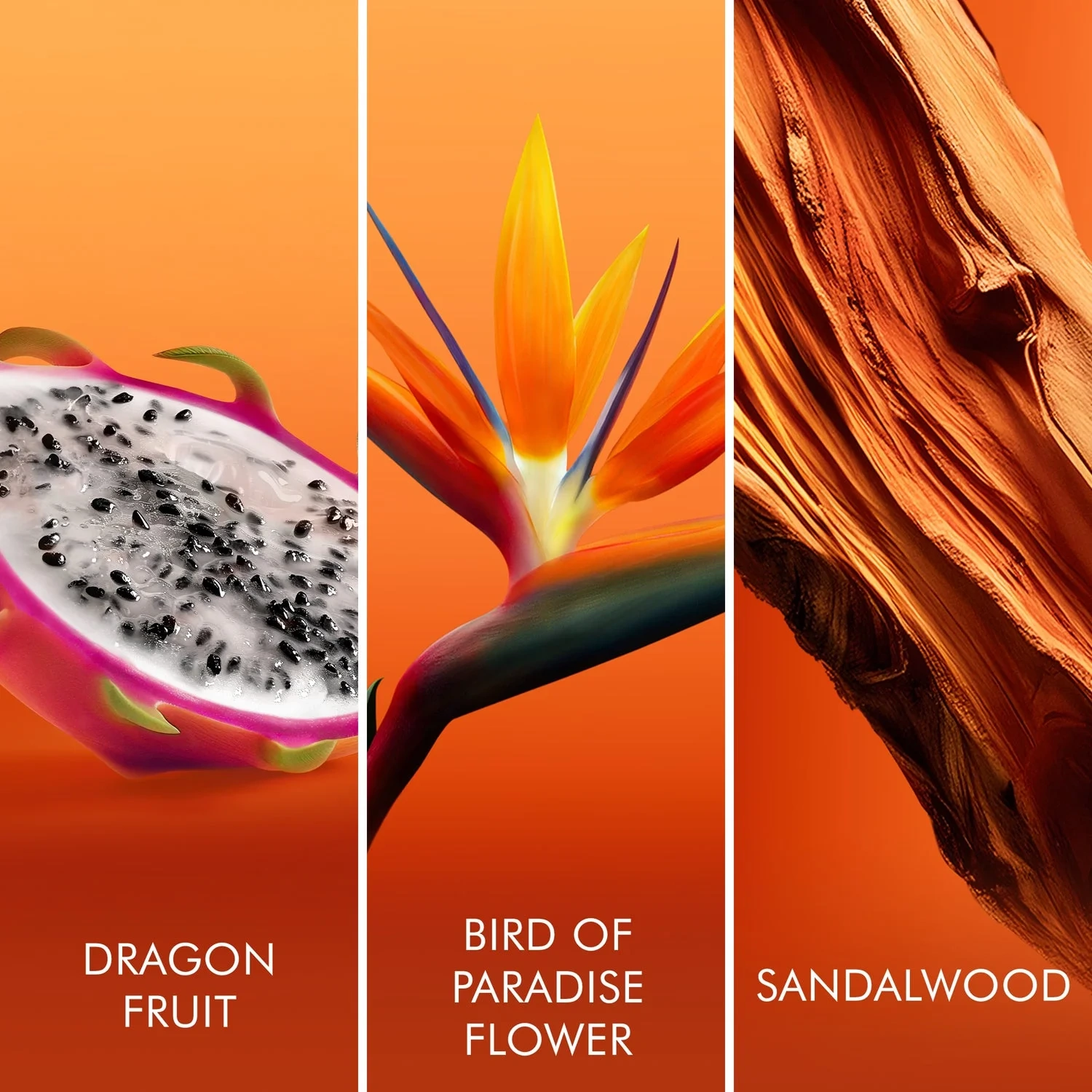 Escada Bali Paradise Eau de Toilette 50 ml