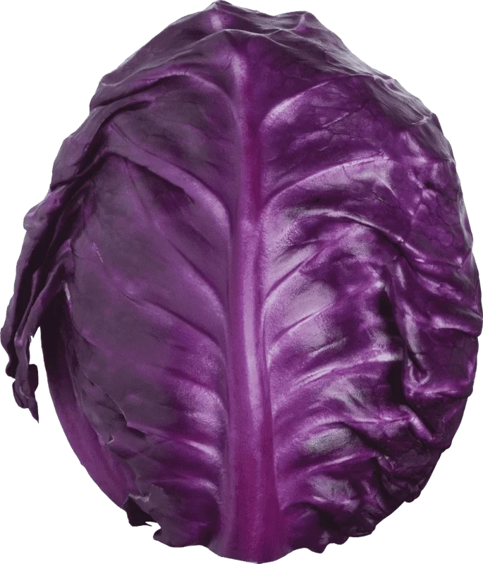 Rød Spisskål