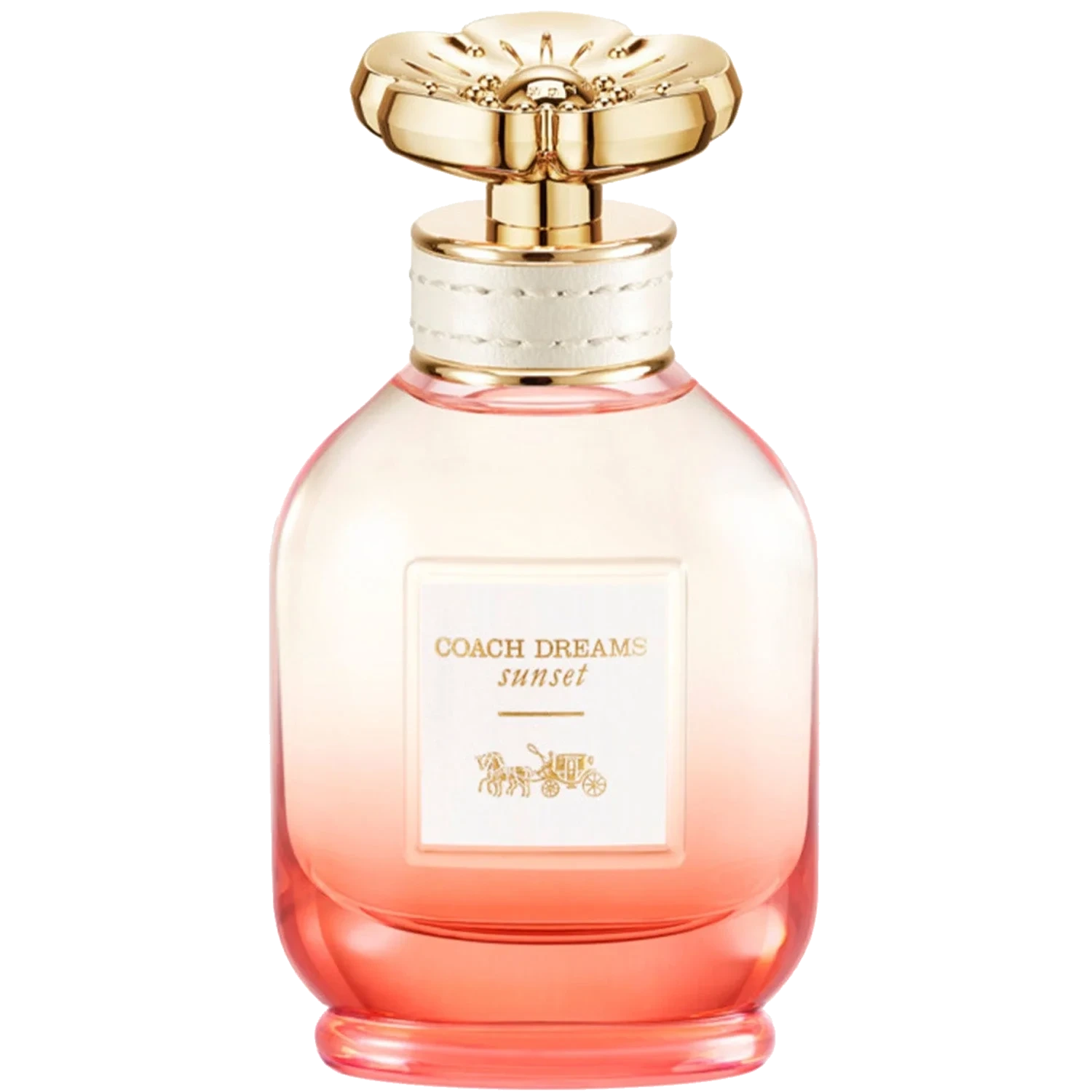 COACH Dreams Sunset