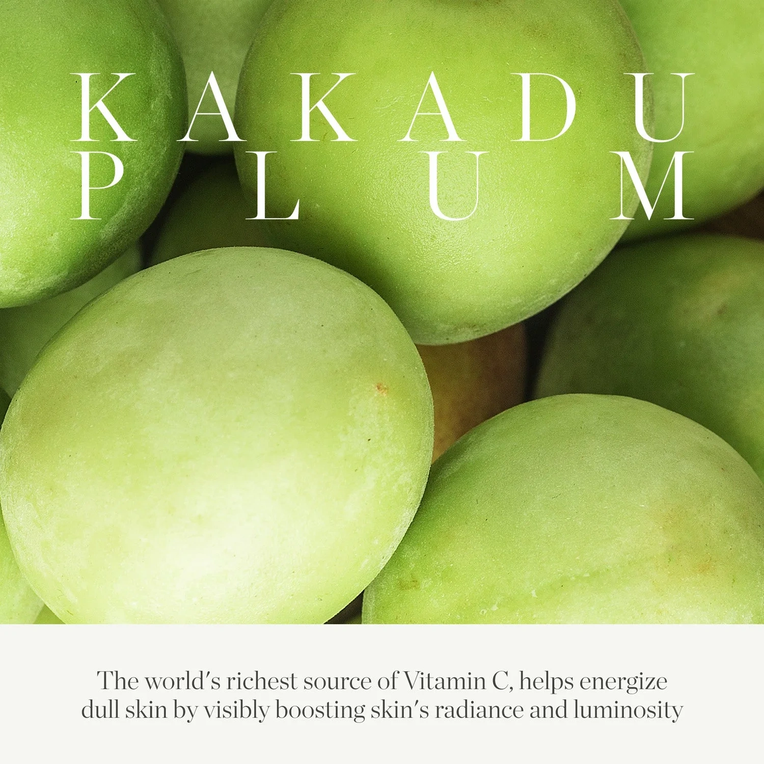 KORA Organics Kakadu Plum Vitamin C Eye Cream