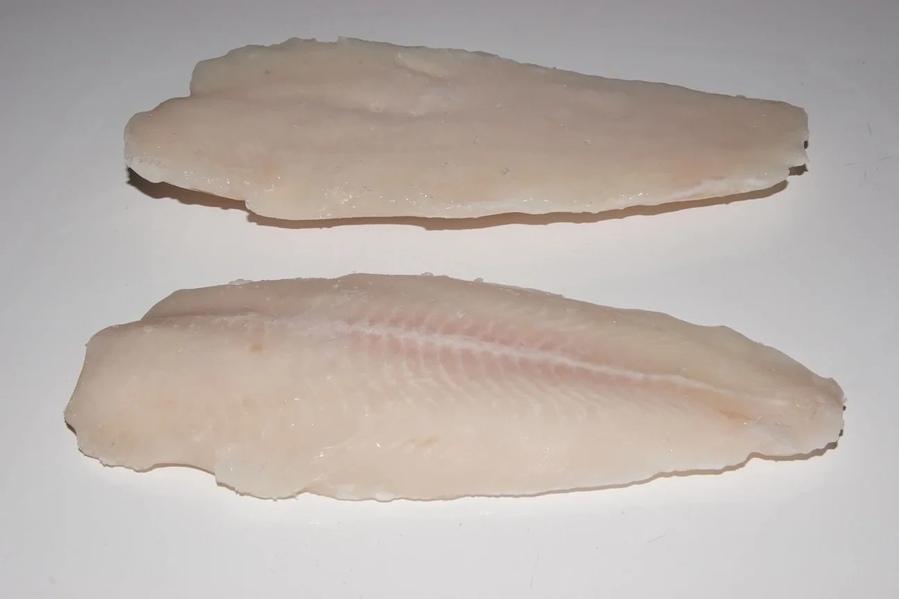 Pangasius