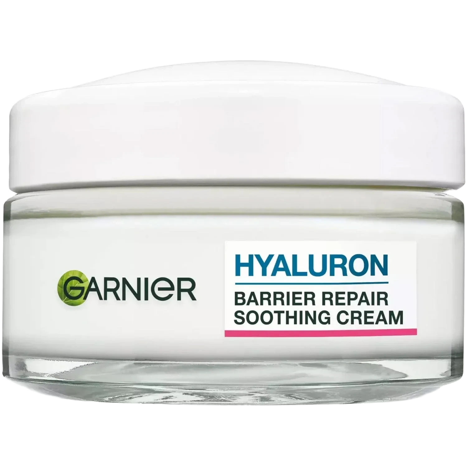 Garnier SkinActive Hyaluronic Aloe