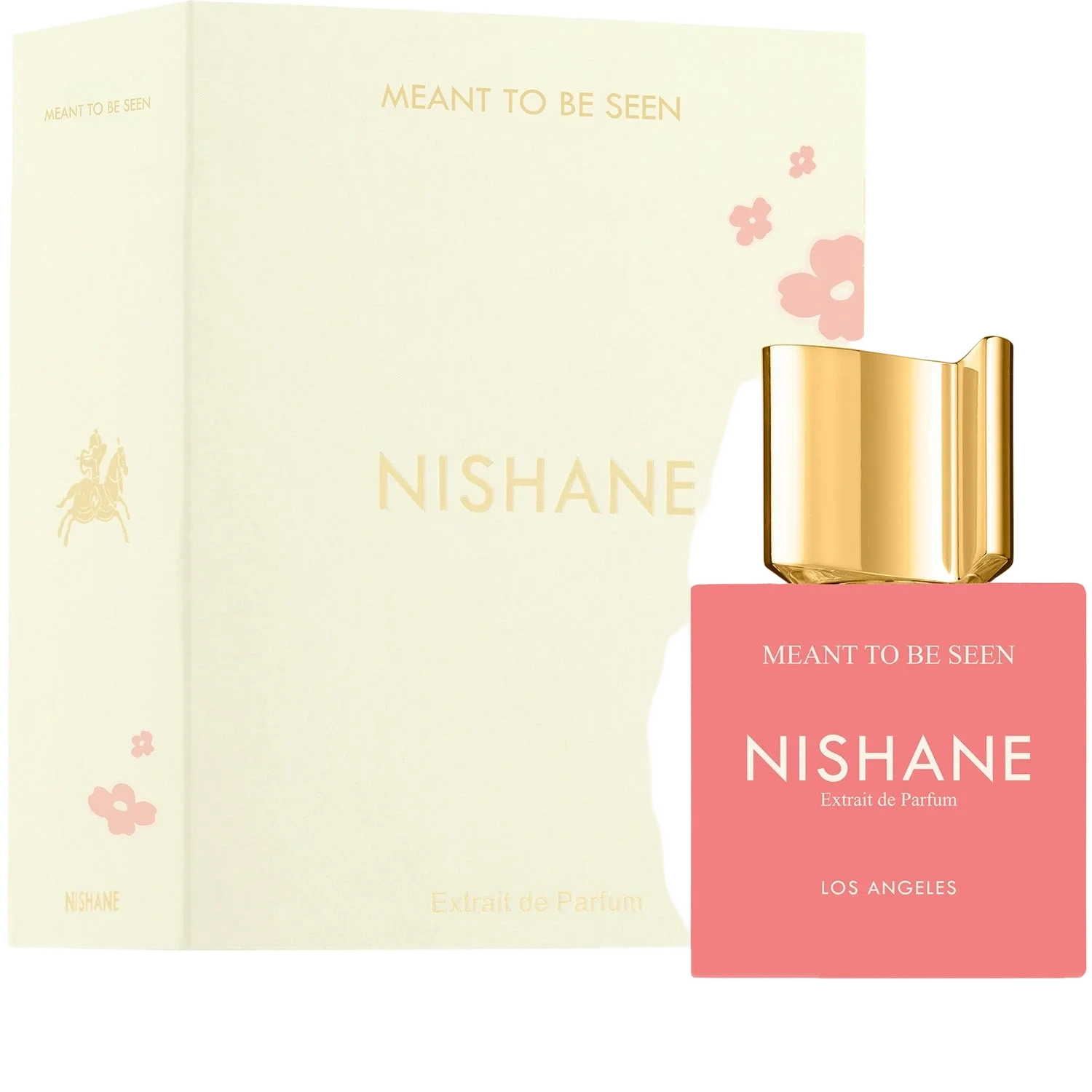 NISHANE Meant To Be Seen