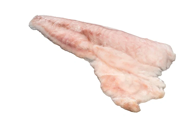Munkfish Nz Breiflabb 600-800g u/S