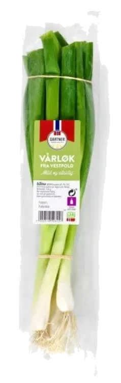 Vårløk 150g Bunt Gartner