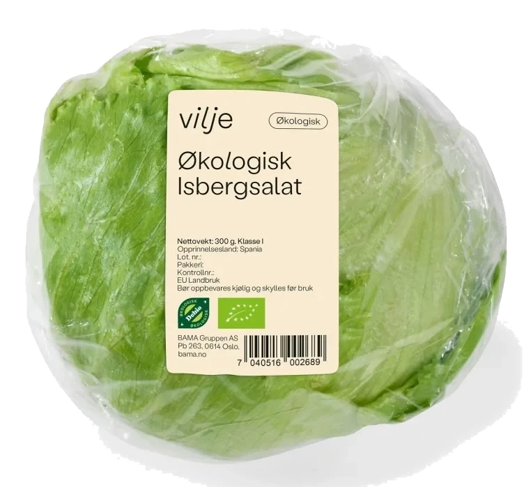 Isbergsalat Økologisk stykk Vilje