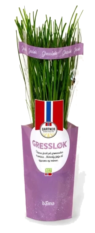 Gressløk 6,5cm Potte Gartner