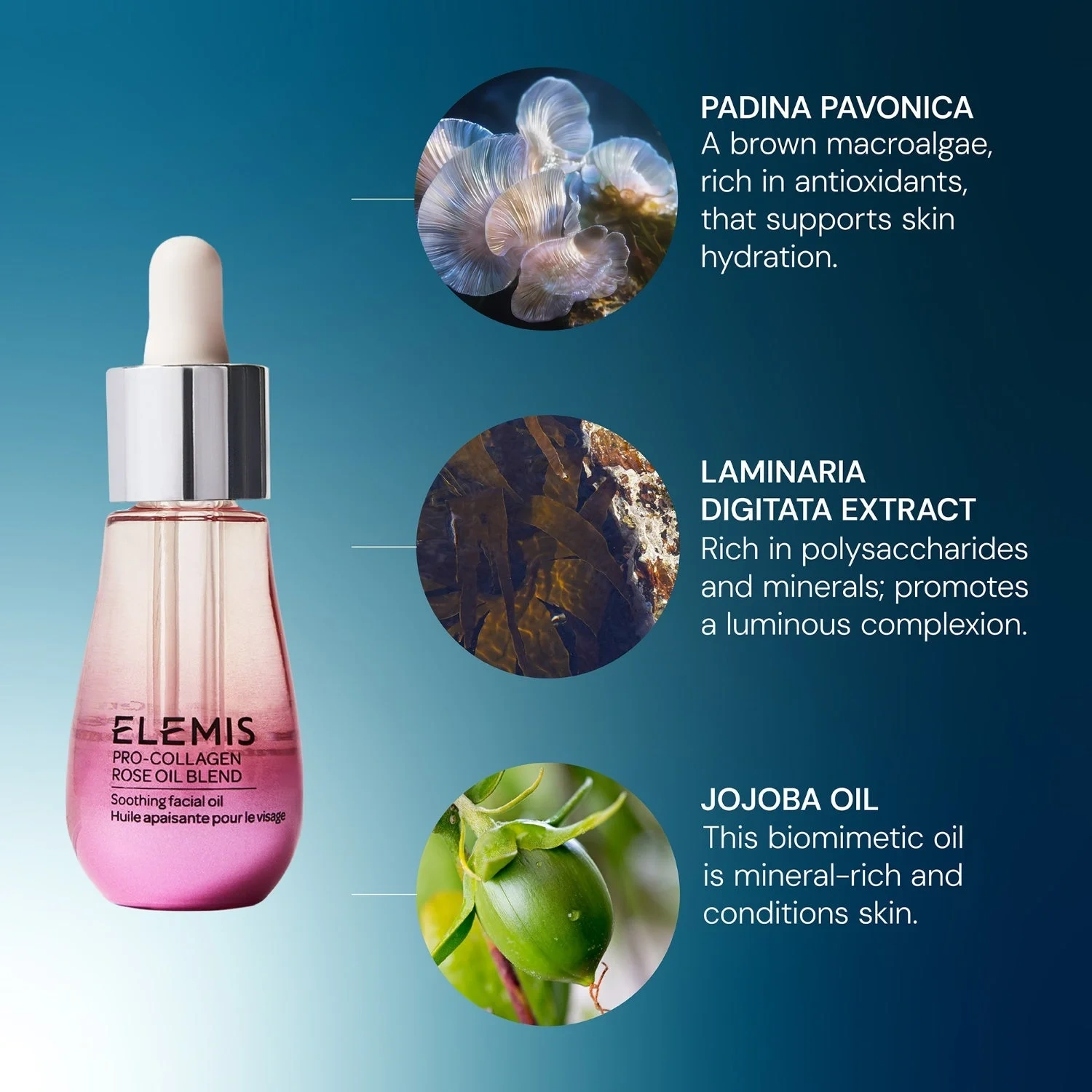 Elemis Pro-Collagen Rose Facial Oil