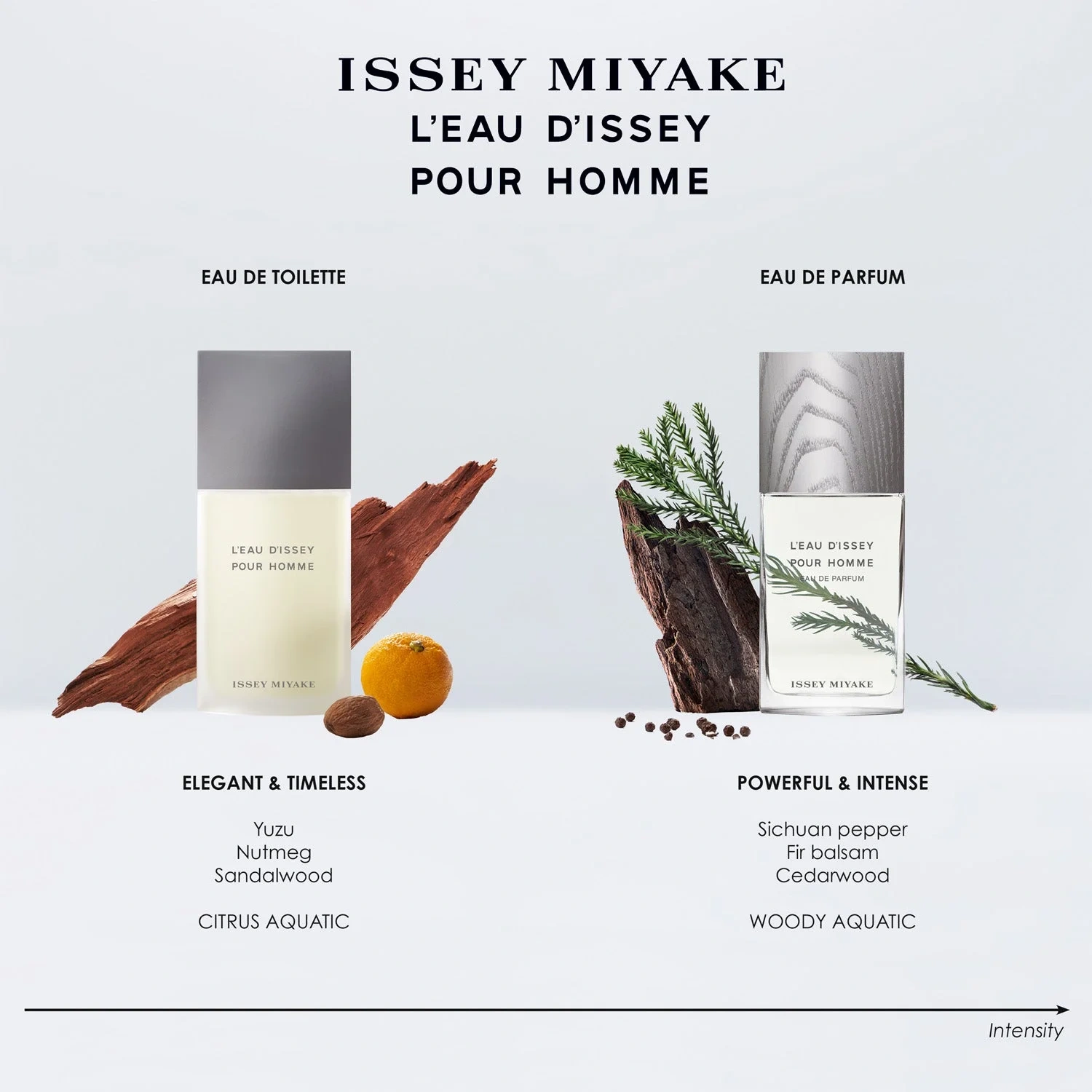 Issey Miyake L'Eau D'issey Pour Homme