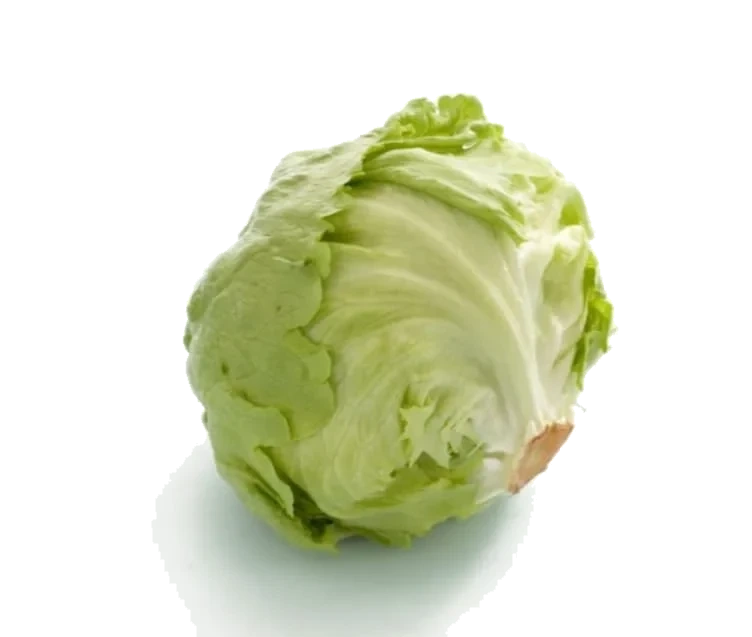 Isbergsalat stykk