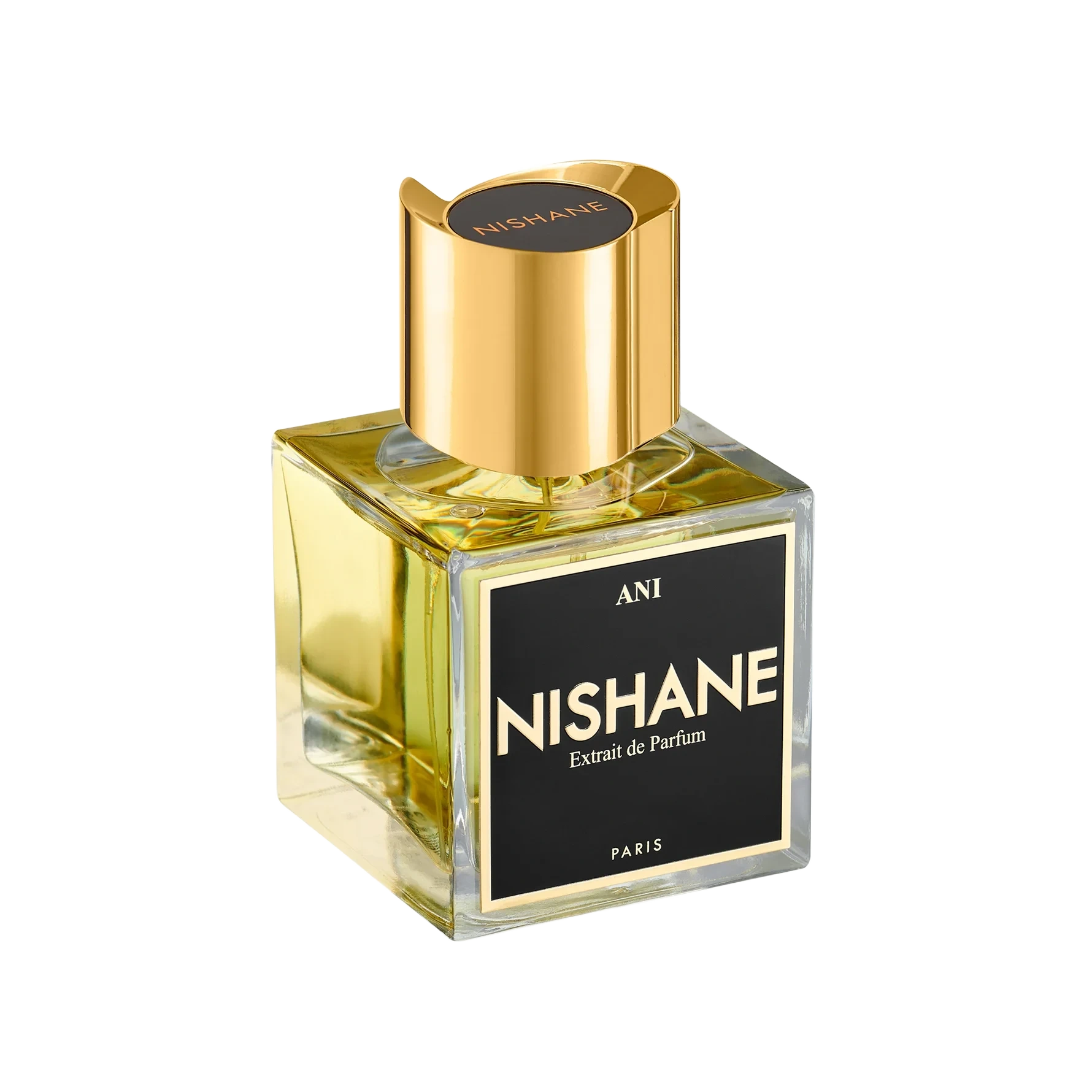 NISHANE Ani Extrait de Parfum 100 ml