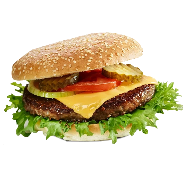 Hamburger spes. 160 gr. 5kg