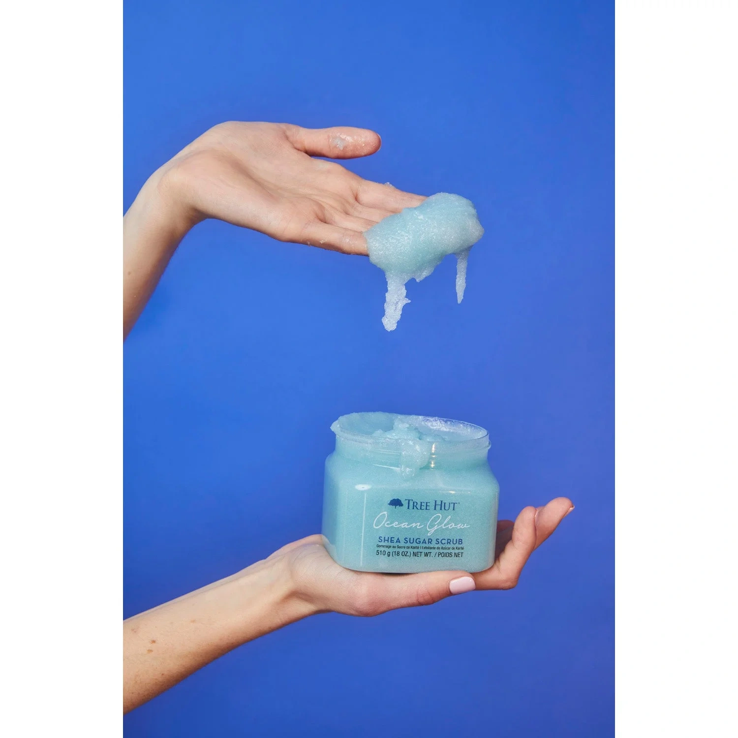 Tree Hut Shea Sugar Scrub Ocean Glow