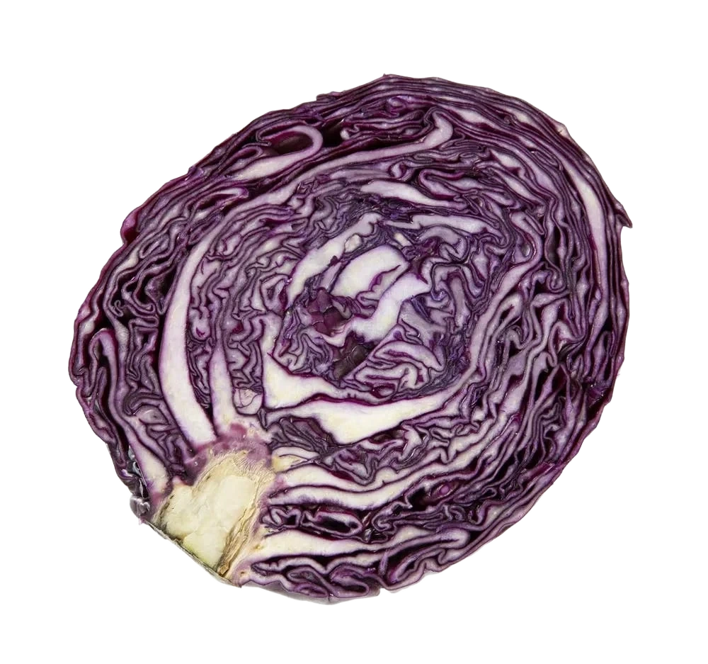 Rødkål