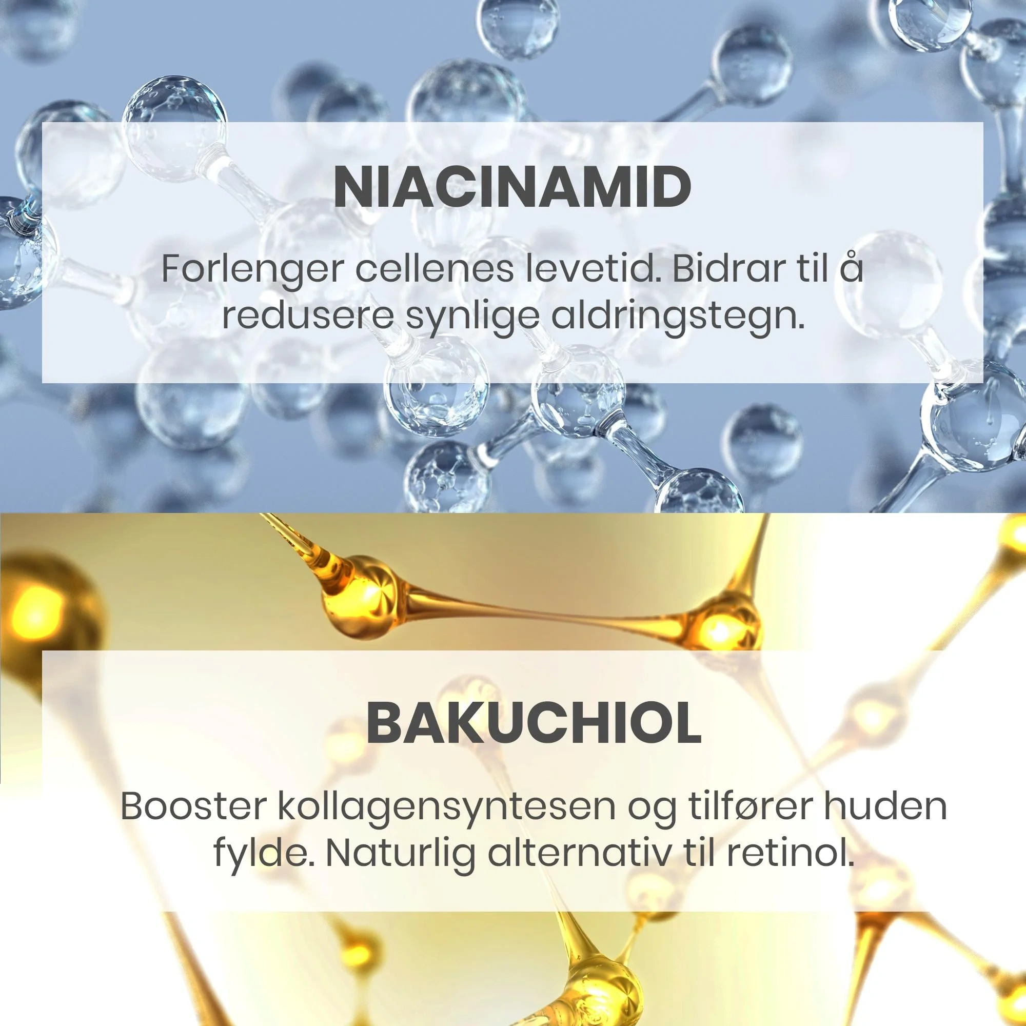Avène Dermabsolu Night Nattkrem, 40 ml