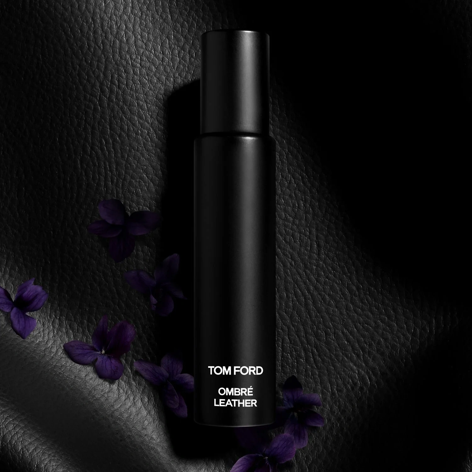 Tom Ford Ombré Leather