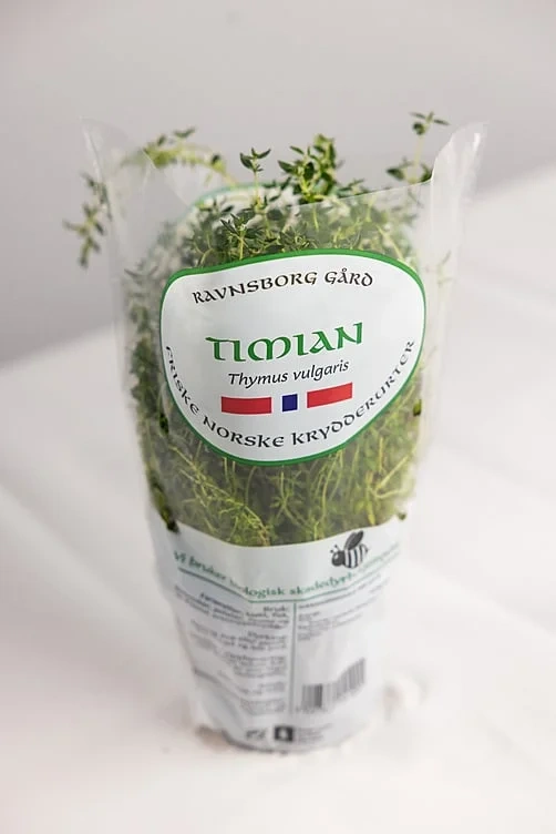 Timian  ø12cm standard   potte