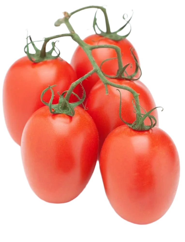 Plommetomat
