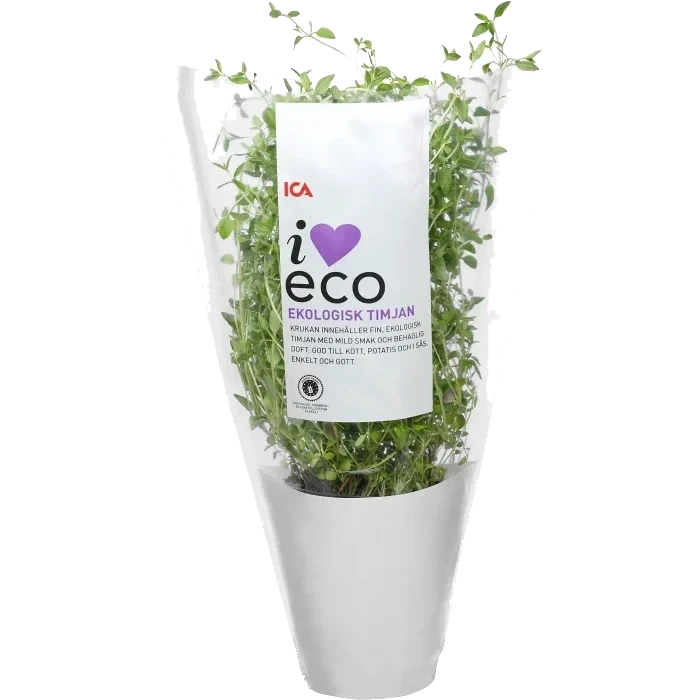 Timjan i kruka Ekologisk 1-p Klass 1 ICA I love eco