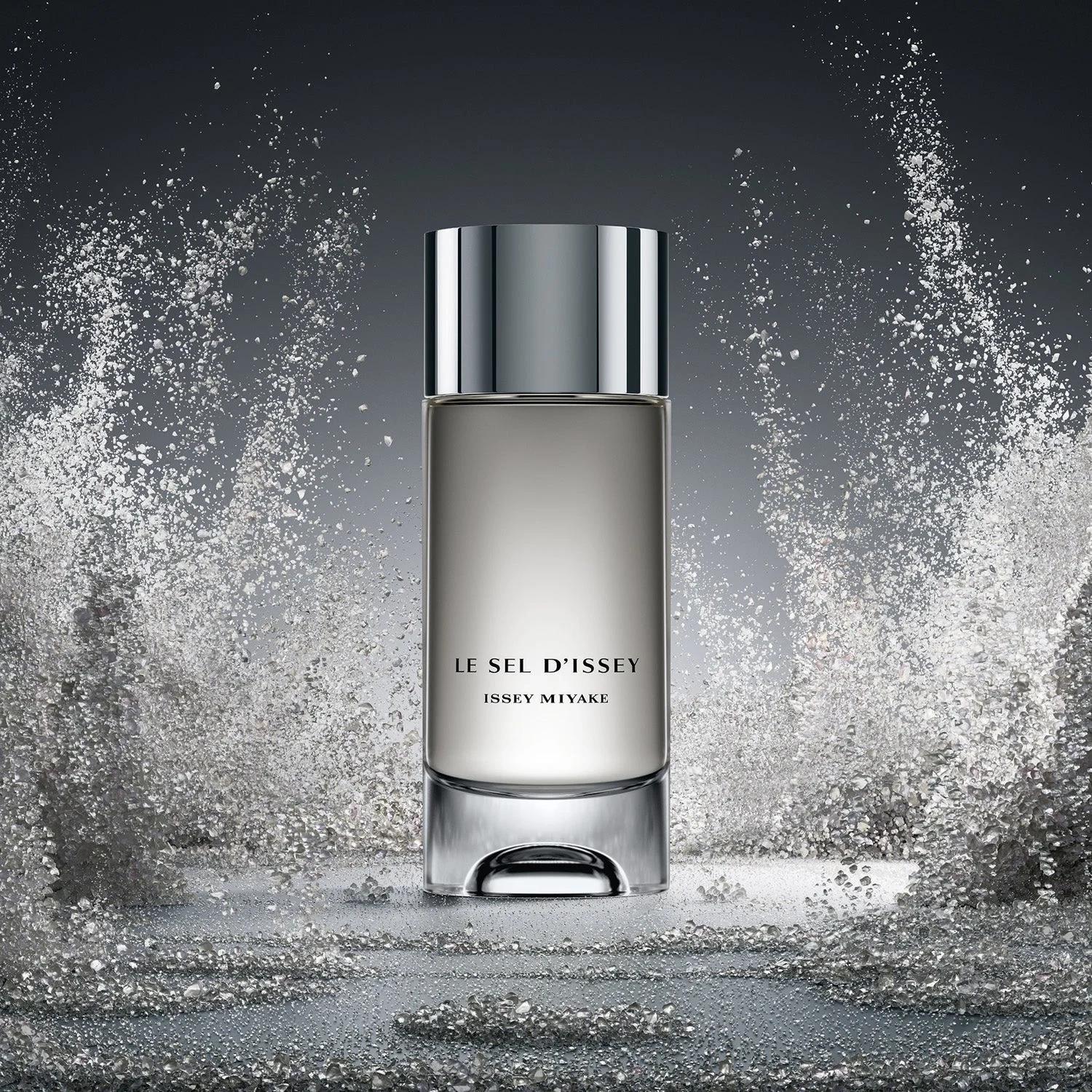 Issey Miyake Le Sel D'Issey Eau de Toilette 100 ml