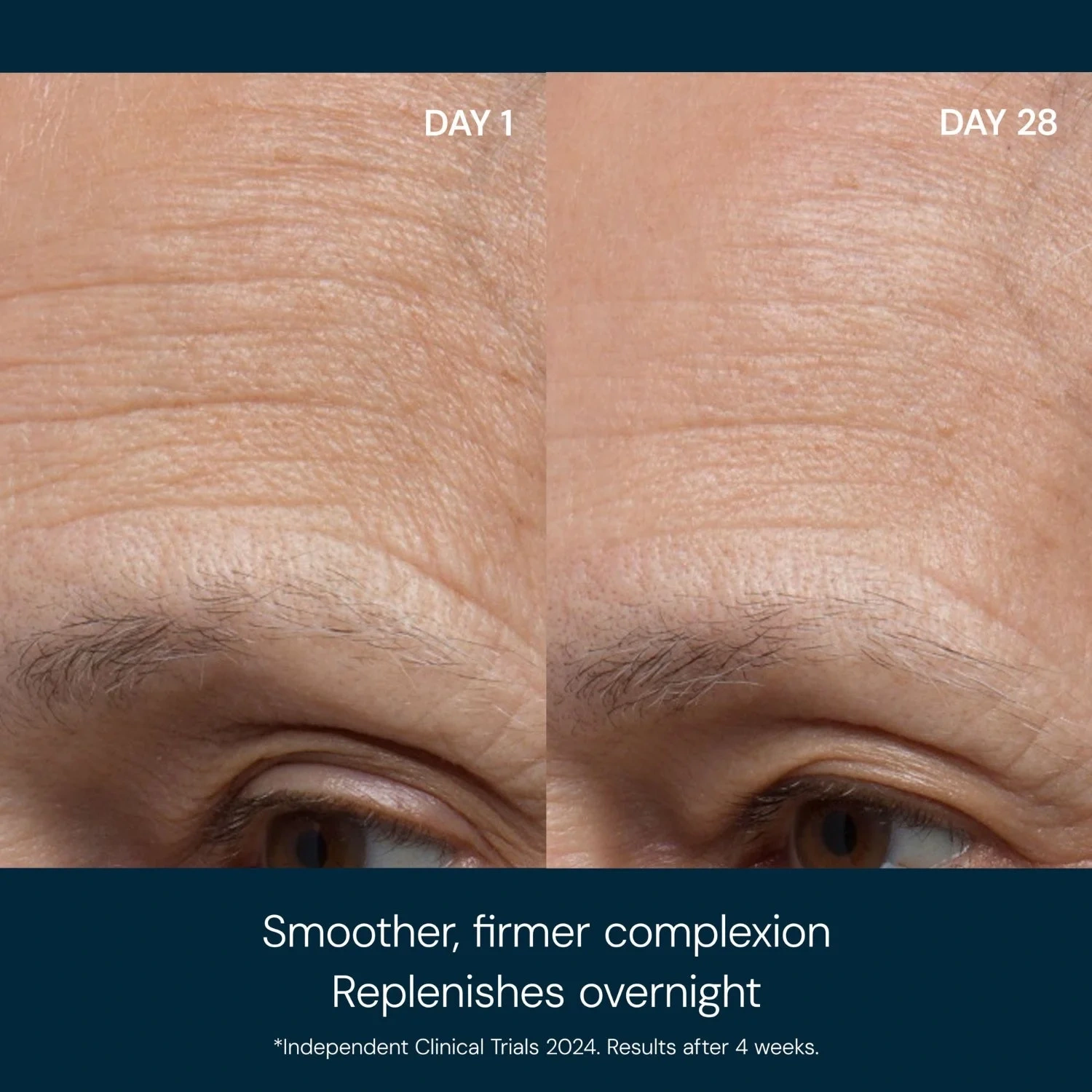 Elemis Pro-Collagen Night Cream