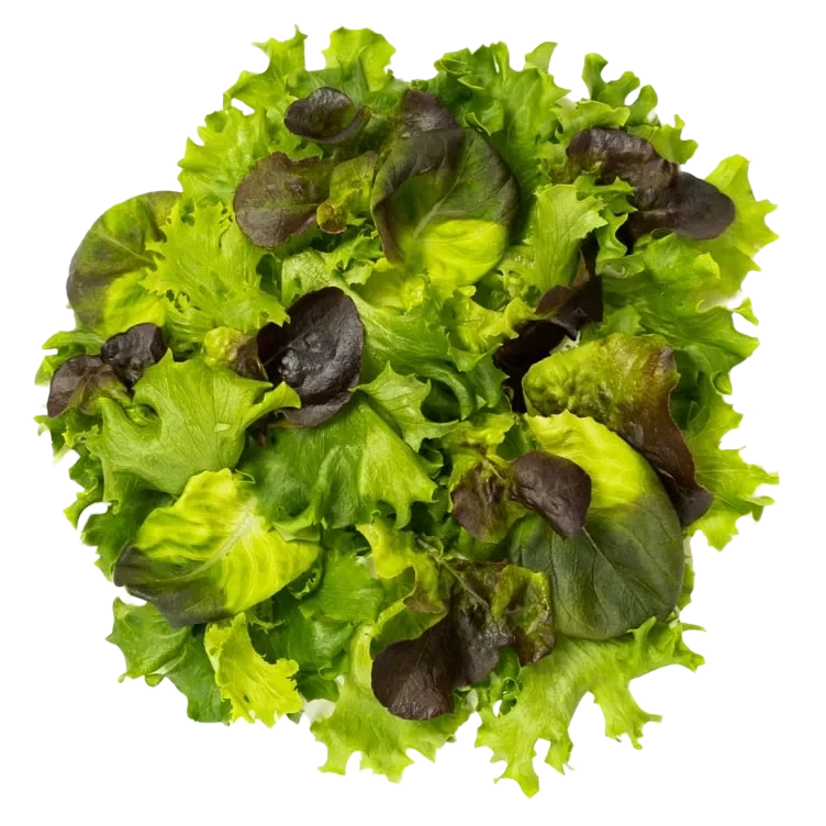 Mamma Mia Mix Løsvekt Salat Spiseklar 2.0kg Onna