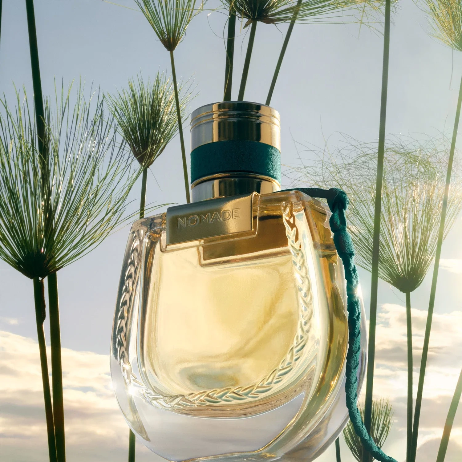 Chloé Nomade Jardin d'Égypte