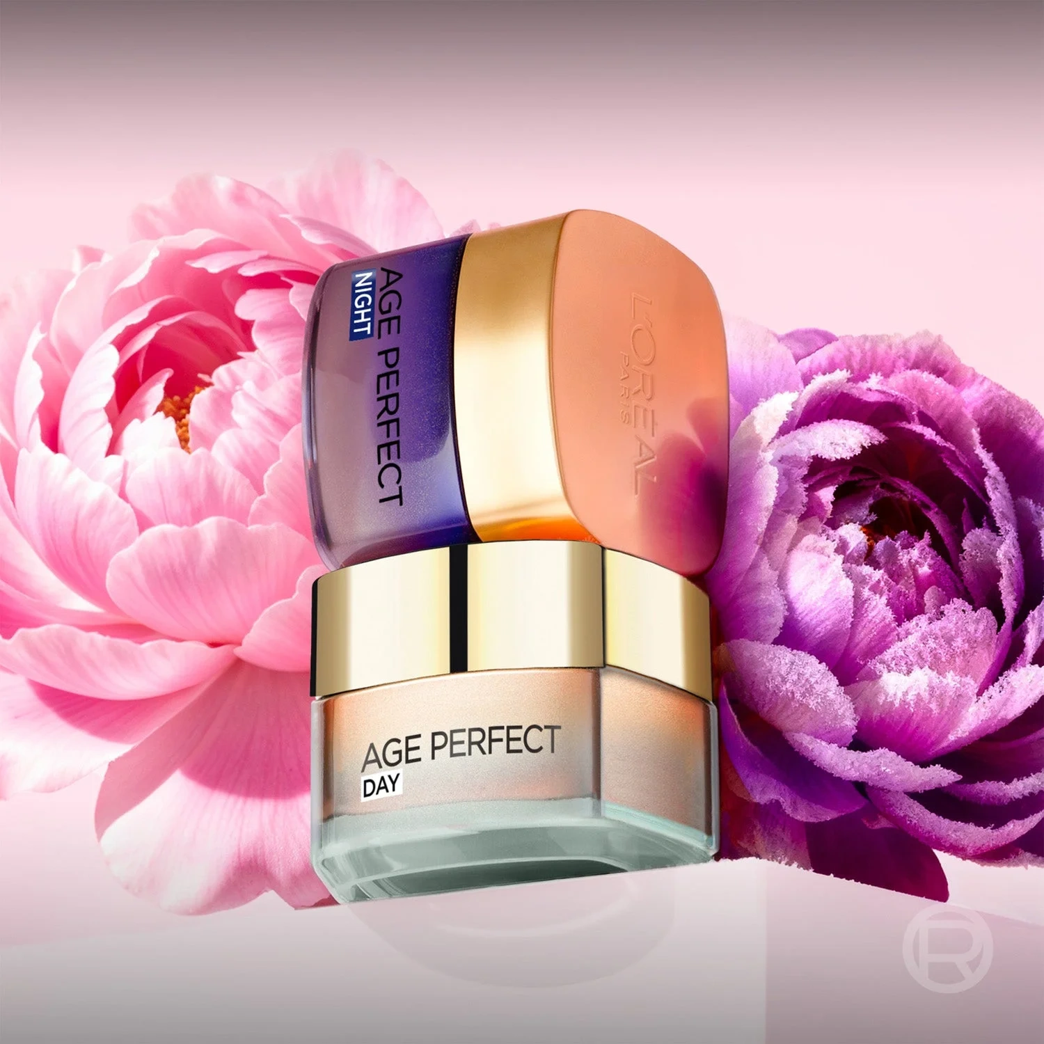 L'Oréal Paris Golden Age Rosy Foritfying Care Day