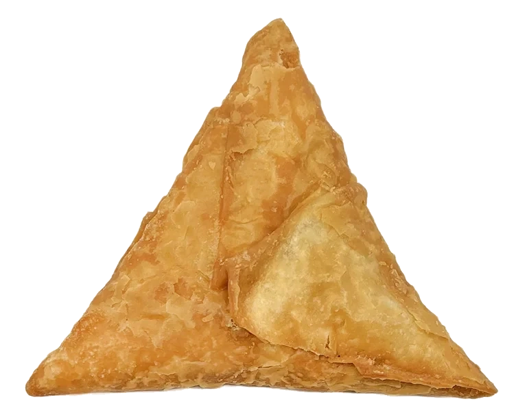 Chicken Tikka Samosa