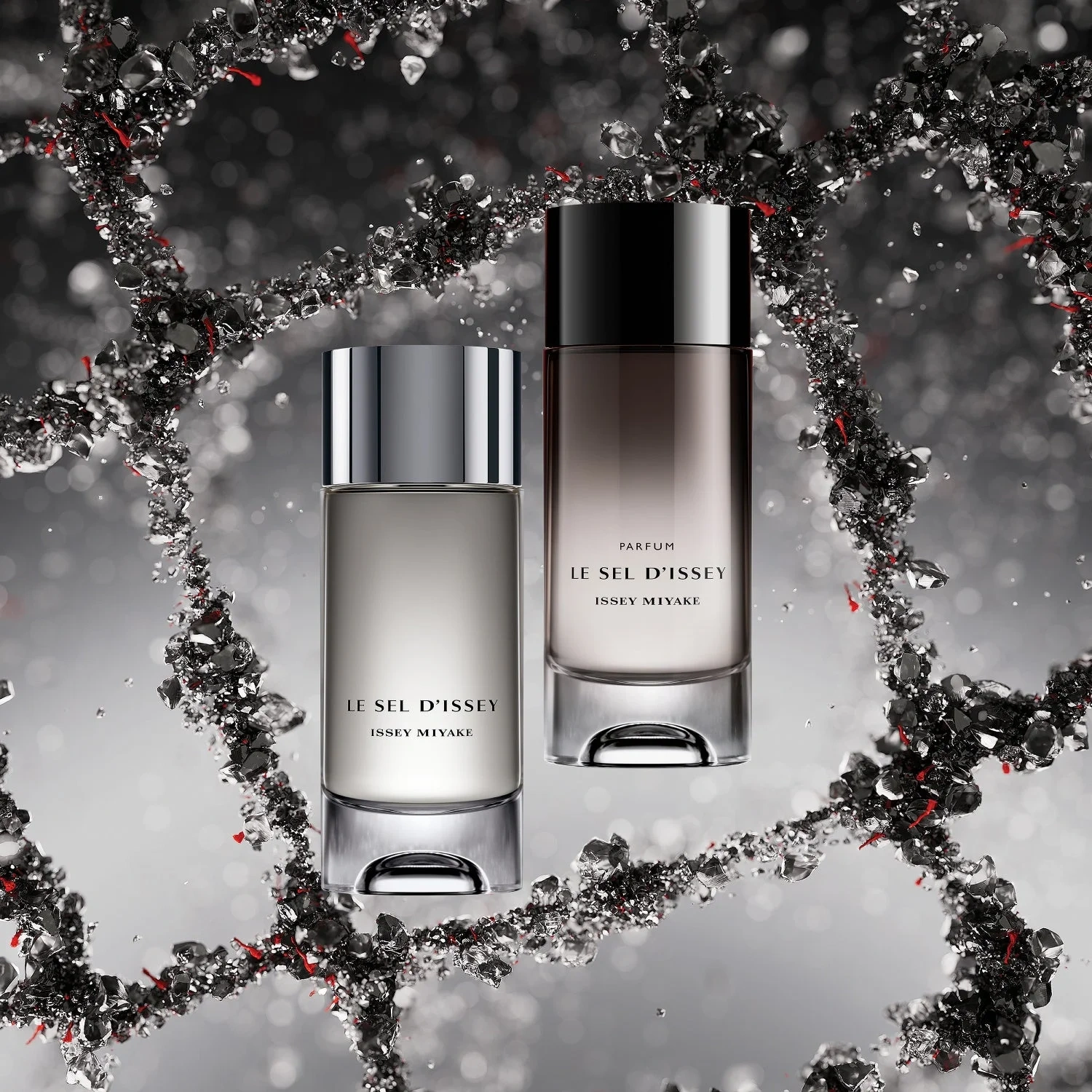 Issey Miyake Le Sel D'Issey