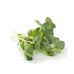 Karse daikon        stk