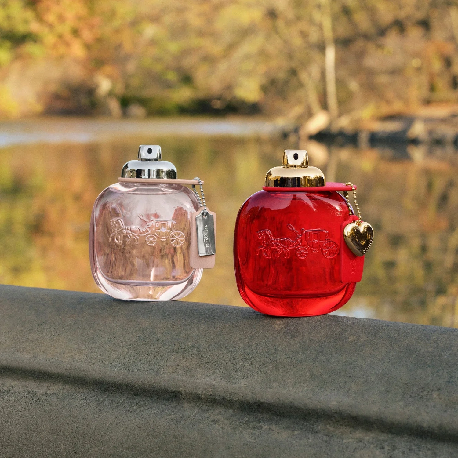 Coach Floral Eau de Parfum 30 ml