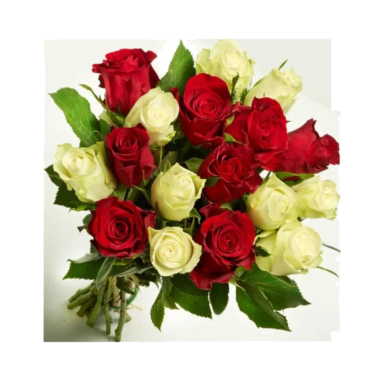 Roser 17pk Jul