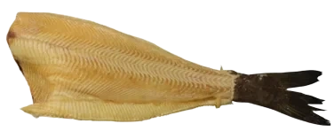 Blåkveite Rundrøkt