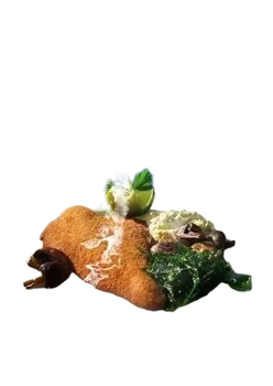 Panerad rödspätta MSC
