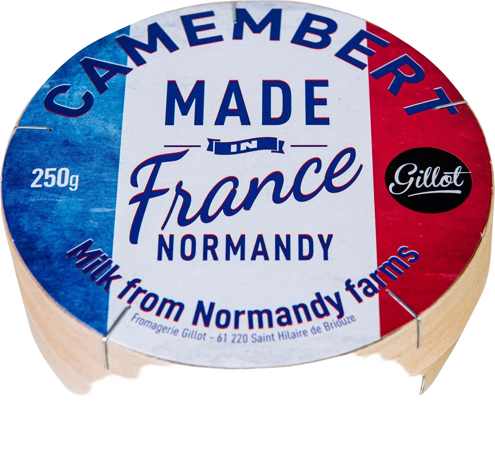 Camembert vitmögelost