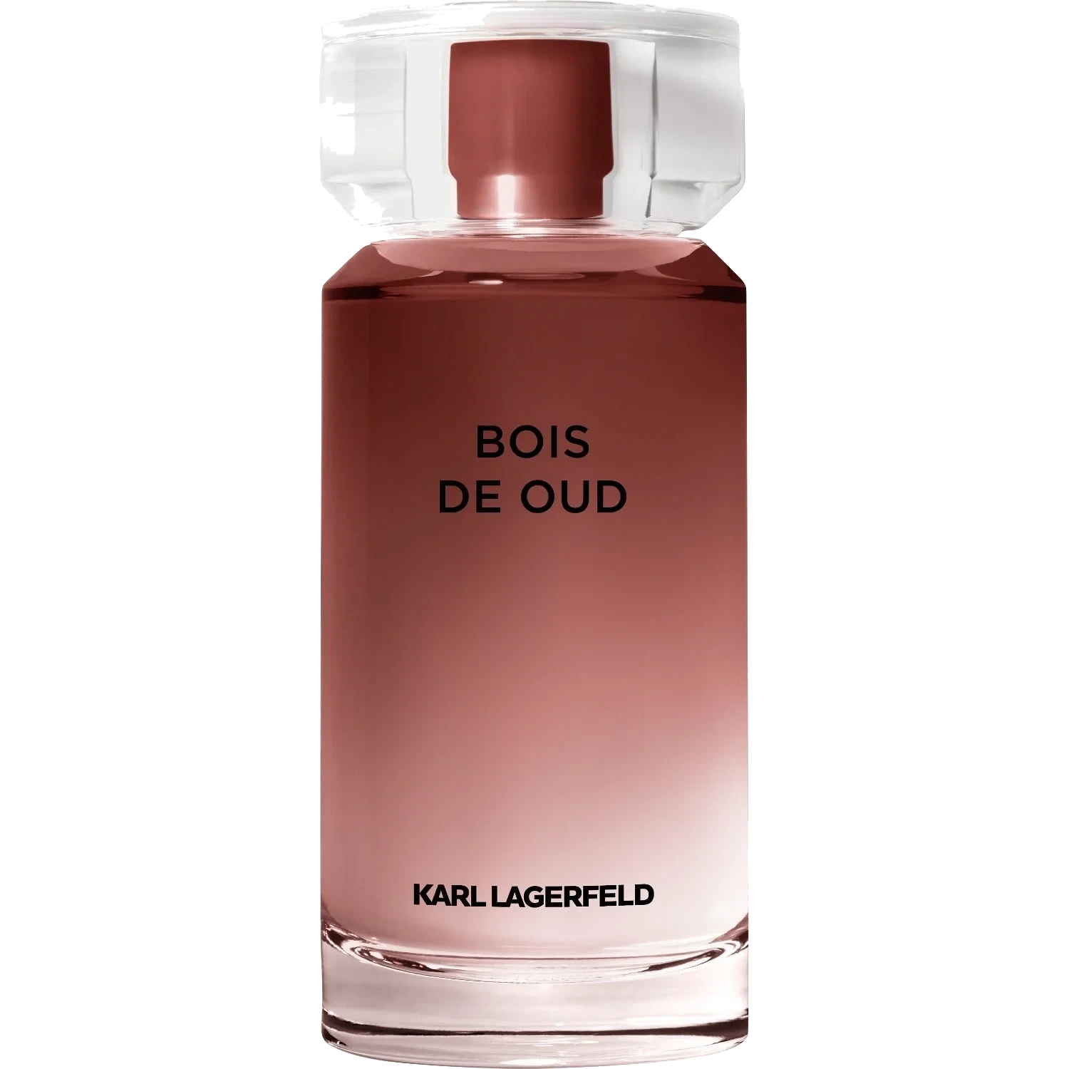 Karl Lagerfeld Les Parfums Matières Bois de Oud Eau de Toilette 100 ml
