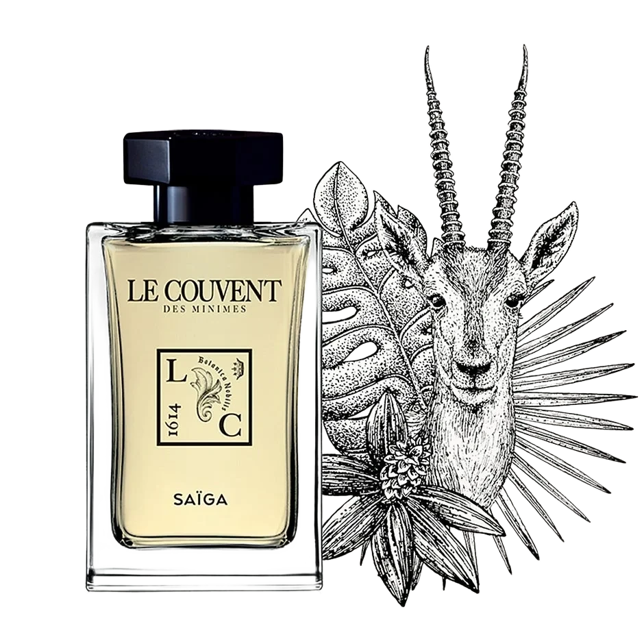 Le Couvent Saiga Singulière