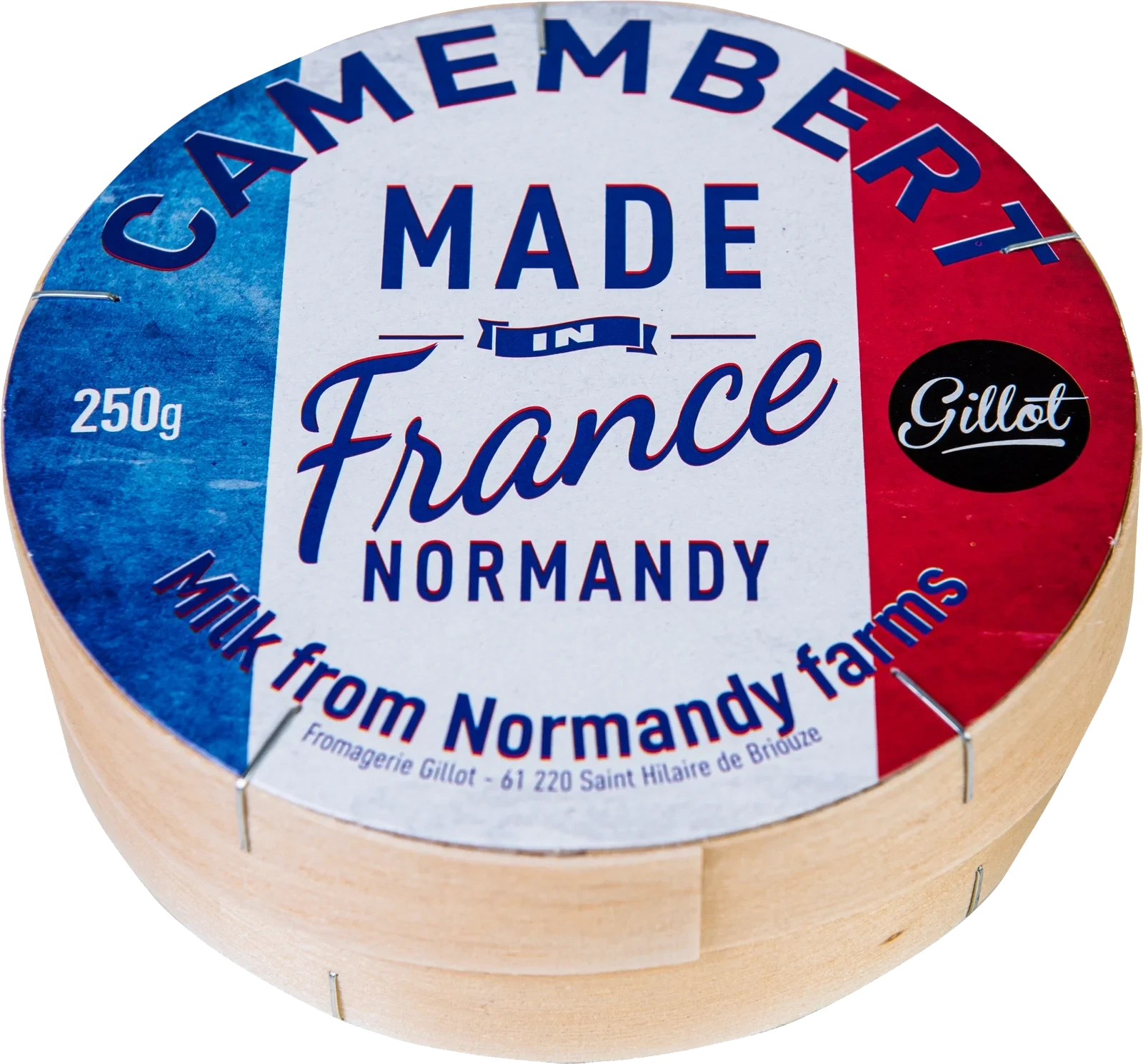 Camembert vitmögelost