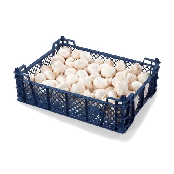 Lavpris Sopp Champignon 3 Kg