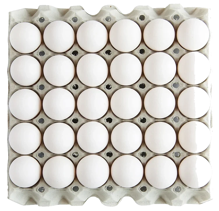 Egg finske frittgående 240stk (8 brett á 30 egg)  13,92kg