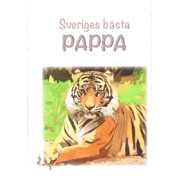 Bok: Sveriges Bästa Pappa