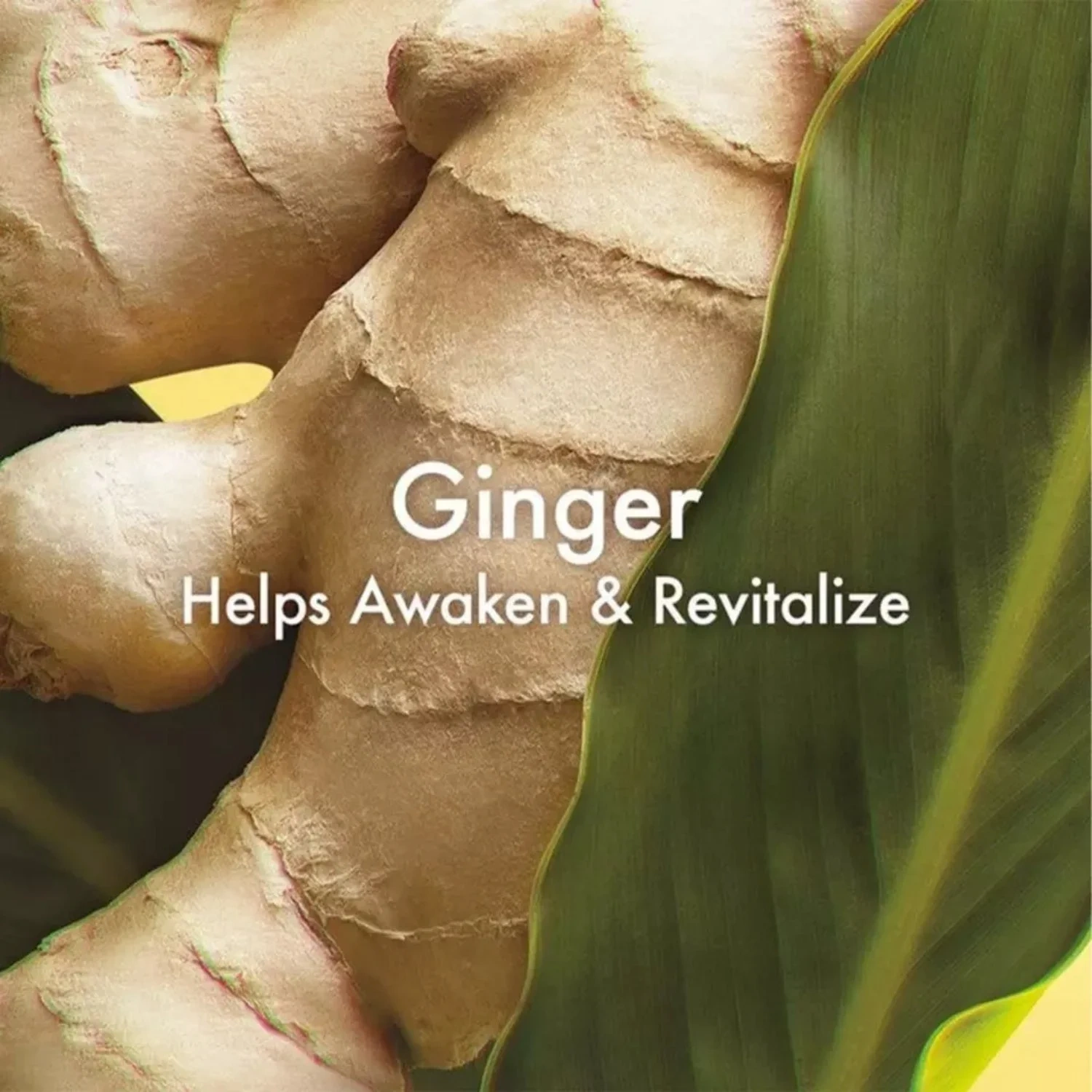 Origins Ginger Essence Rollerball