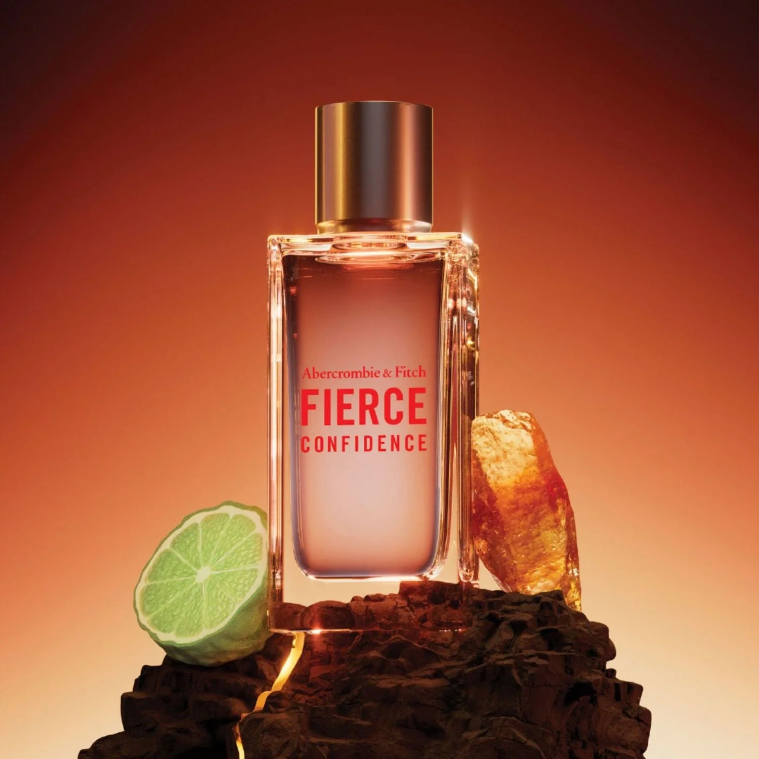 Abercrombie & Fitch Fierce Confidence